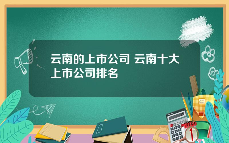 云南的上市公司 云南十大上市公司排名